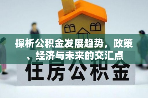 隆尧探析公积金发展趋势，政策、经济与未来的交汇点